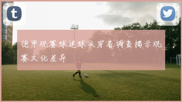 德甲观赛球迷球衣穿着调查揭示观赛文化差异