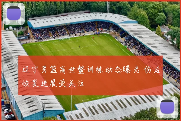 辽宁男篮高世鳌训练动态曝光 伤后恢复进展受关注