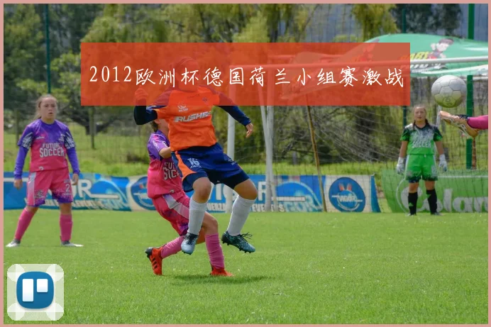 2012欧洲杯德国荷兰小组赛激战