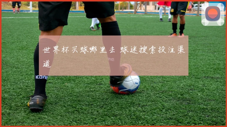 世界杯买球哪里去 球迷搜索投注渠道