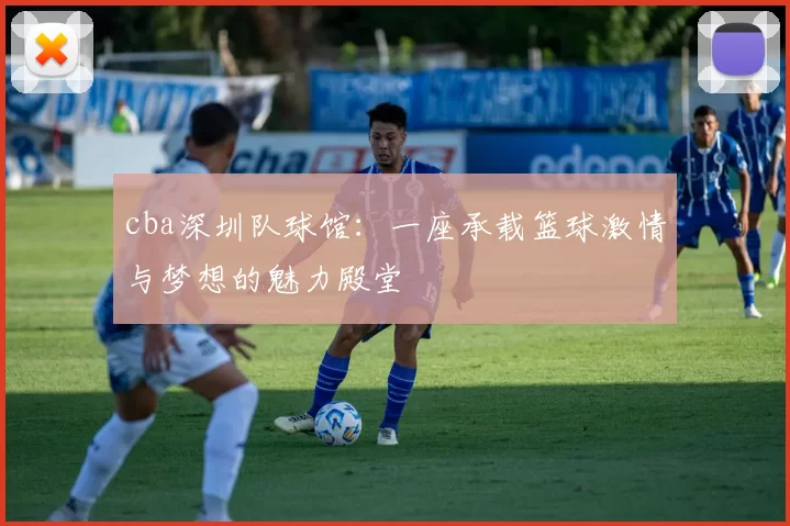 cba深圳队球馆：一座承载篮球激情与梦想的魅力殿堂