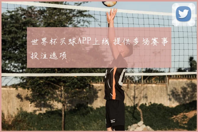 世界杯买球APP上线 提供多场赛事投注选项