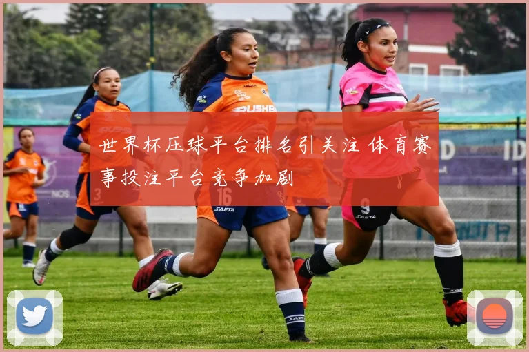 世界杯压球平台排名引关注 体育赛事投注平台竞争加剧